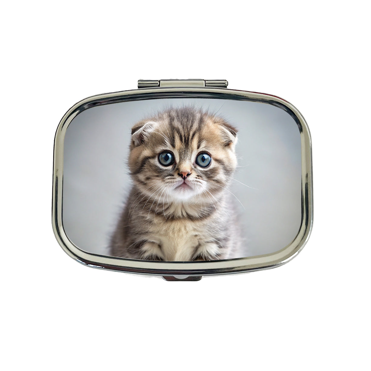Scottish Fold Cat Kitten Photo Travel Pill Box Case