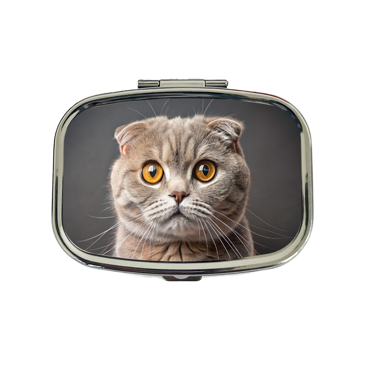 Scottish Fold Cat Photo Travel Pill Box Case