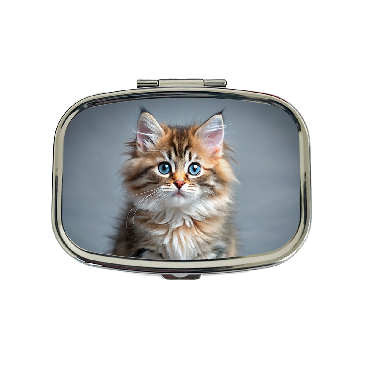 Siberian Cat Kitten Photo Travel Pill Box Case