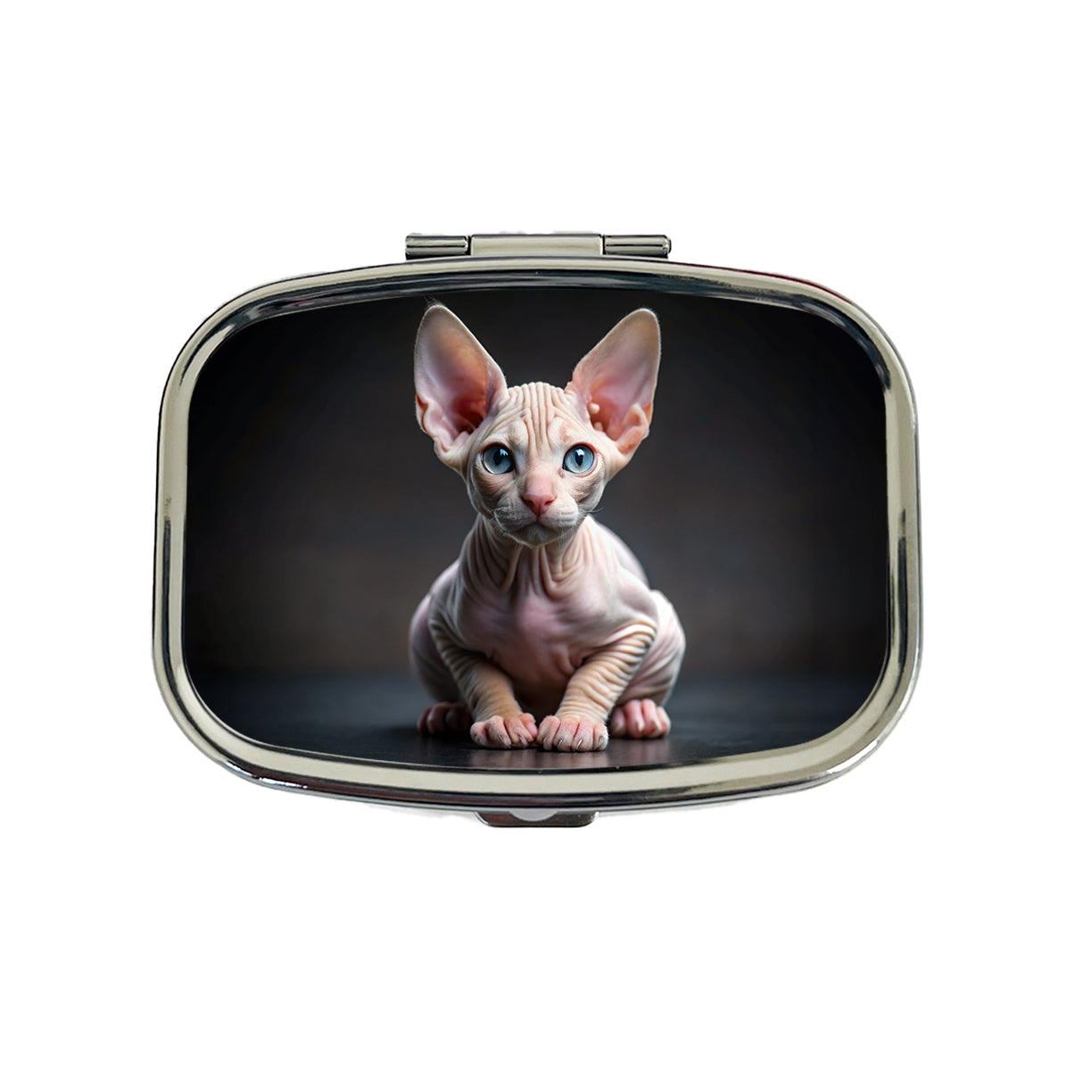 Sphynx Cat Kitten Photo Travel Pill Box Case