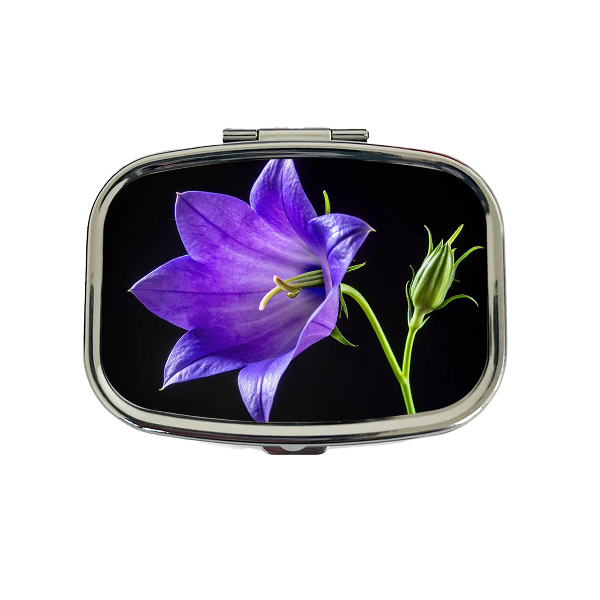 Bellflower Purple Flower Photo Travel Pill Box Case