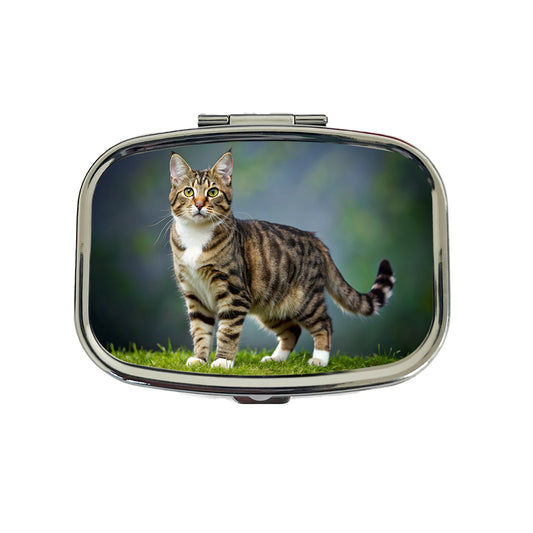 Cute Tabby Cat Photo Travel Pill Box Case