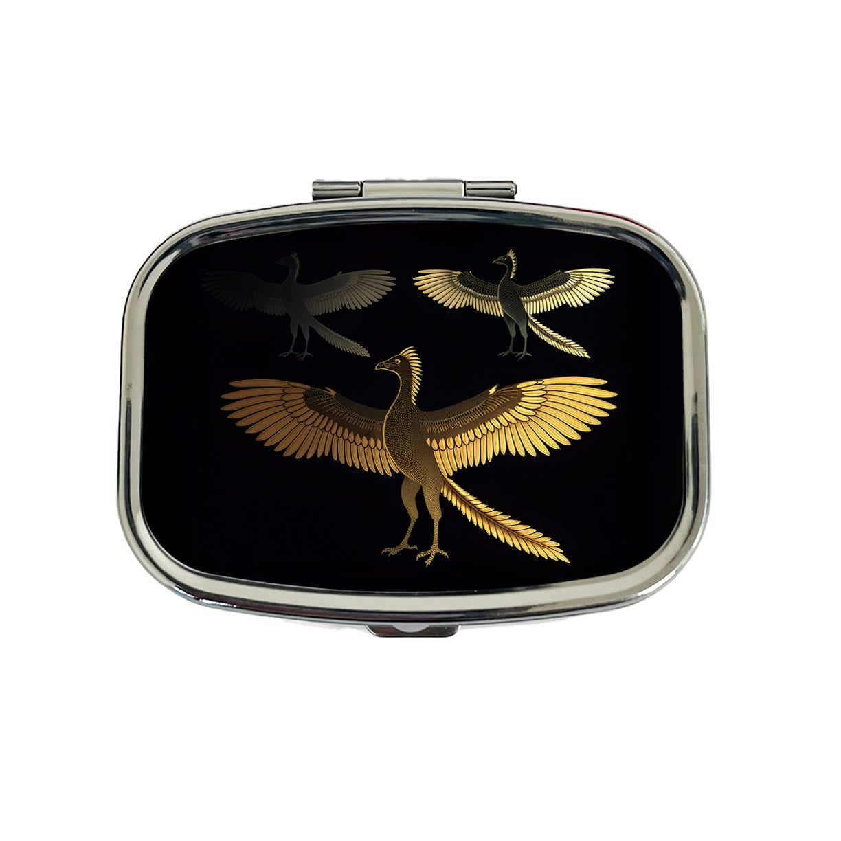Archaeopteryx Sketch Dinosaurs Travel Pill Box Case