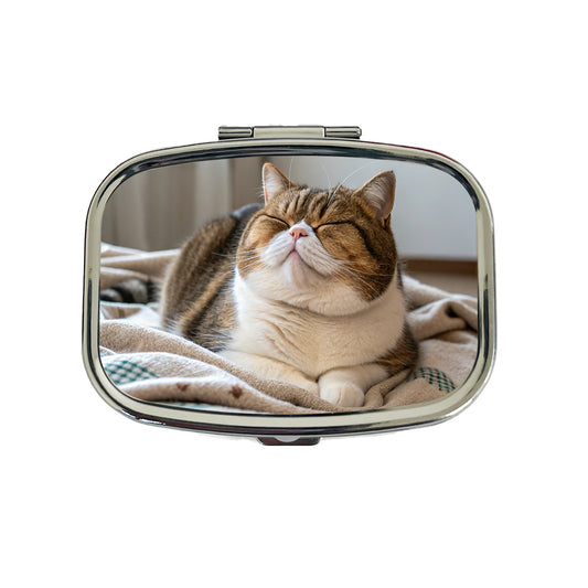 Chubby Cat Lying Down Cute Travel Pill Box Case