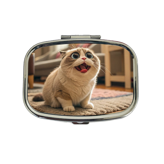 Dopey Cat Funny Travel Pill Box Case
