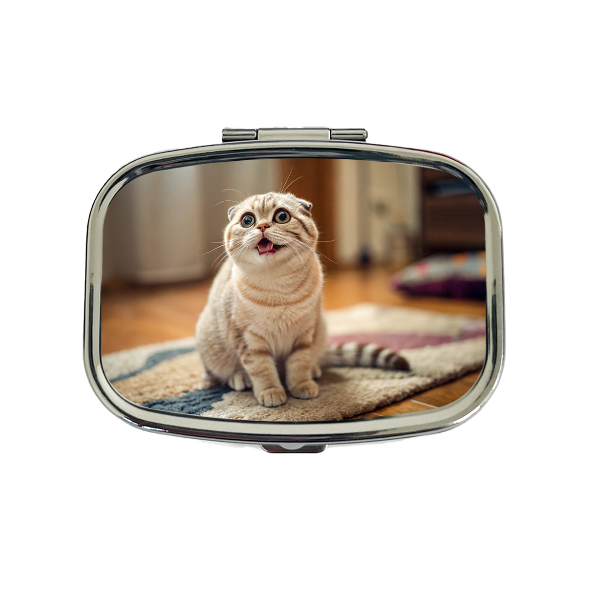 Dopey Cat Silly Travel Pill Box Case