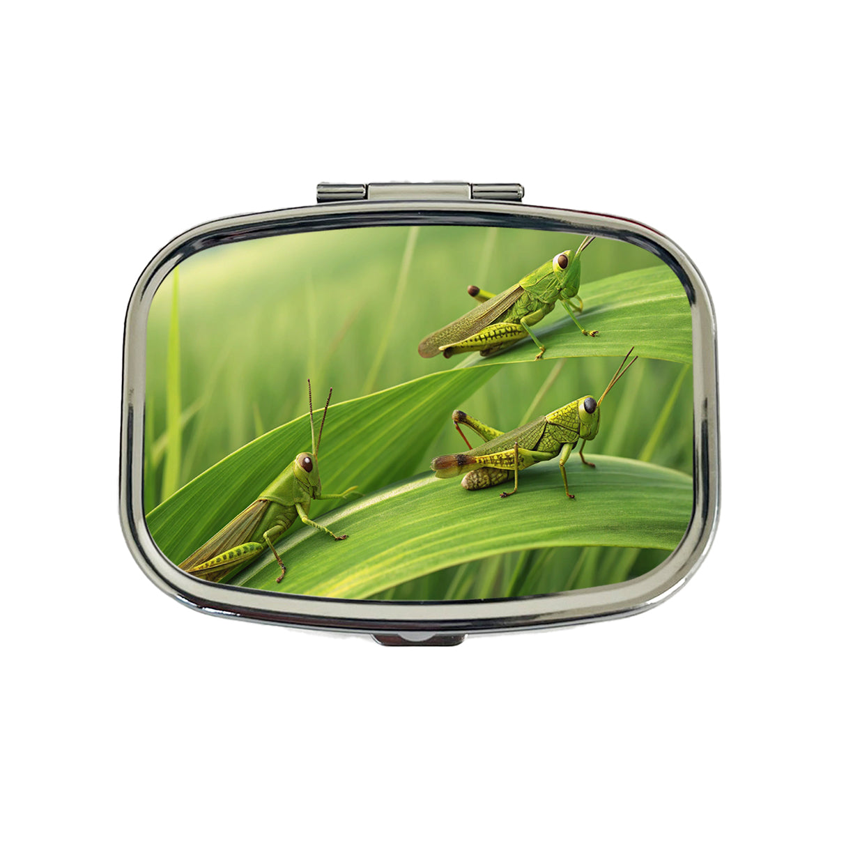 Grasshoppers On Grass Travel Pill Box Case