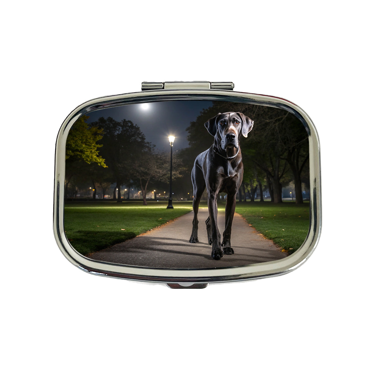 Great Dane In Park At Night Travel Pill Box Case