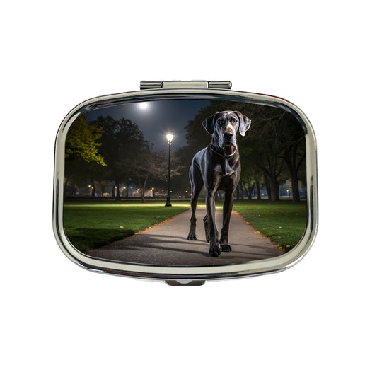 Great Dane In Park At Night Travel Pill Box Case