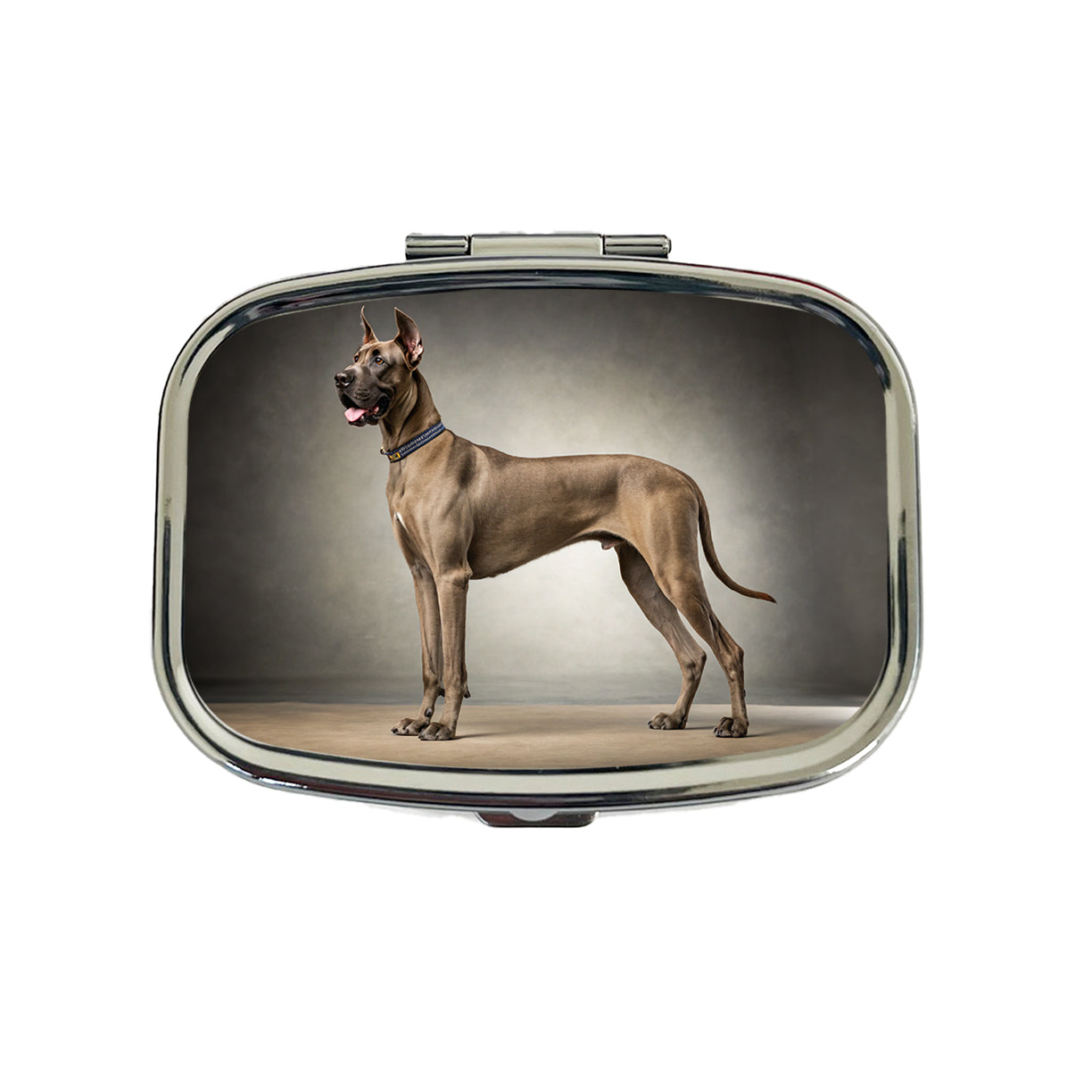 Great Dane Standing Photo Travel Pill Box Case