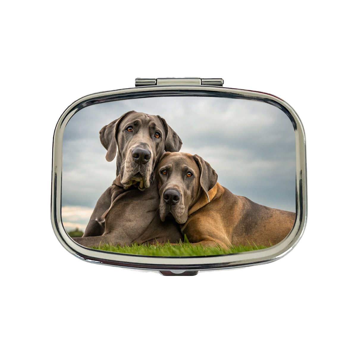 Great Danes In Love Friends Buddies Travel Pill Box Case