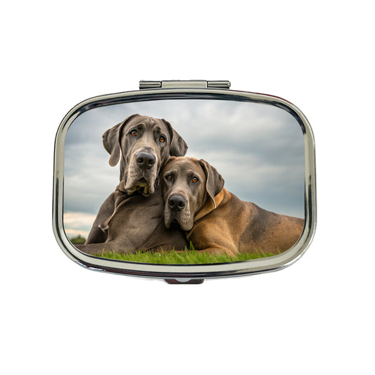Great Danes In Love Friends Buddies Travel Pill Box Case