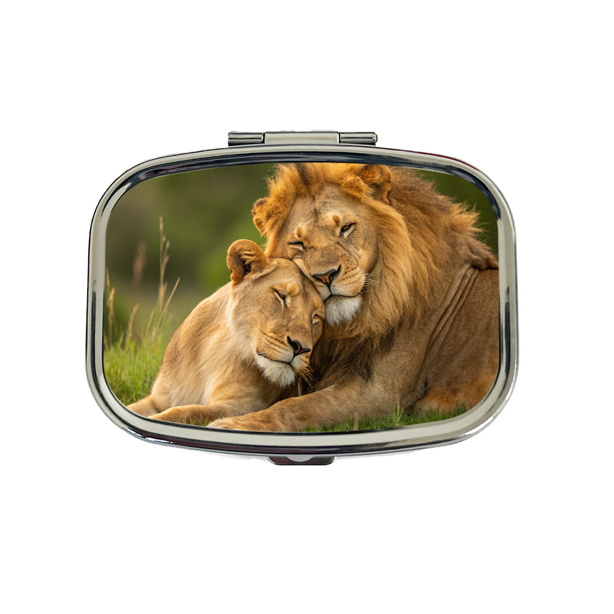 Lions Hugging Love Travel Pill Box Case