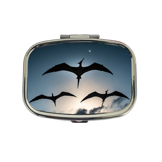 Pterodactylus Silhouettes Flying Dinosaurs Travel Pill Box Case