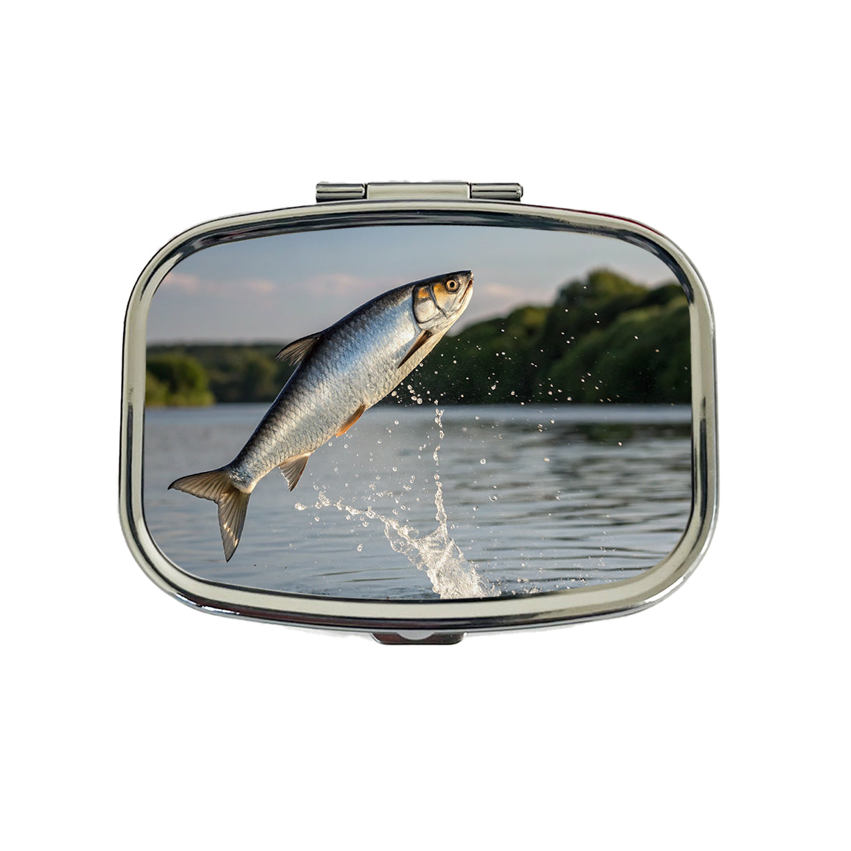 Shad Fish Jumping Fishing Travel Pill Box Case