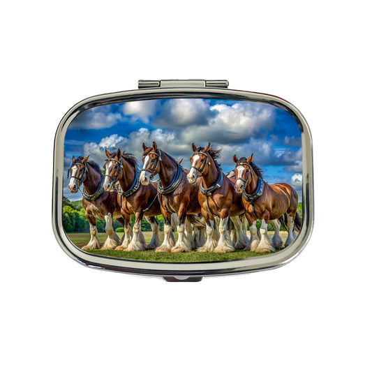 Clydesdale Horses in a Field Travel Pill Box Case