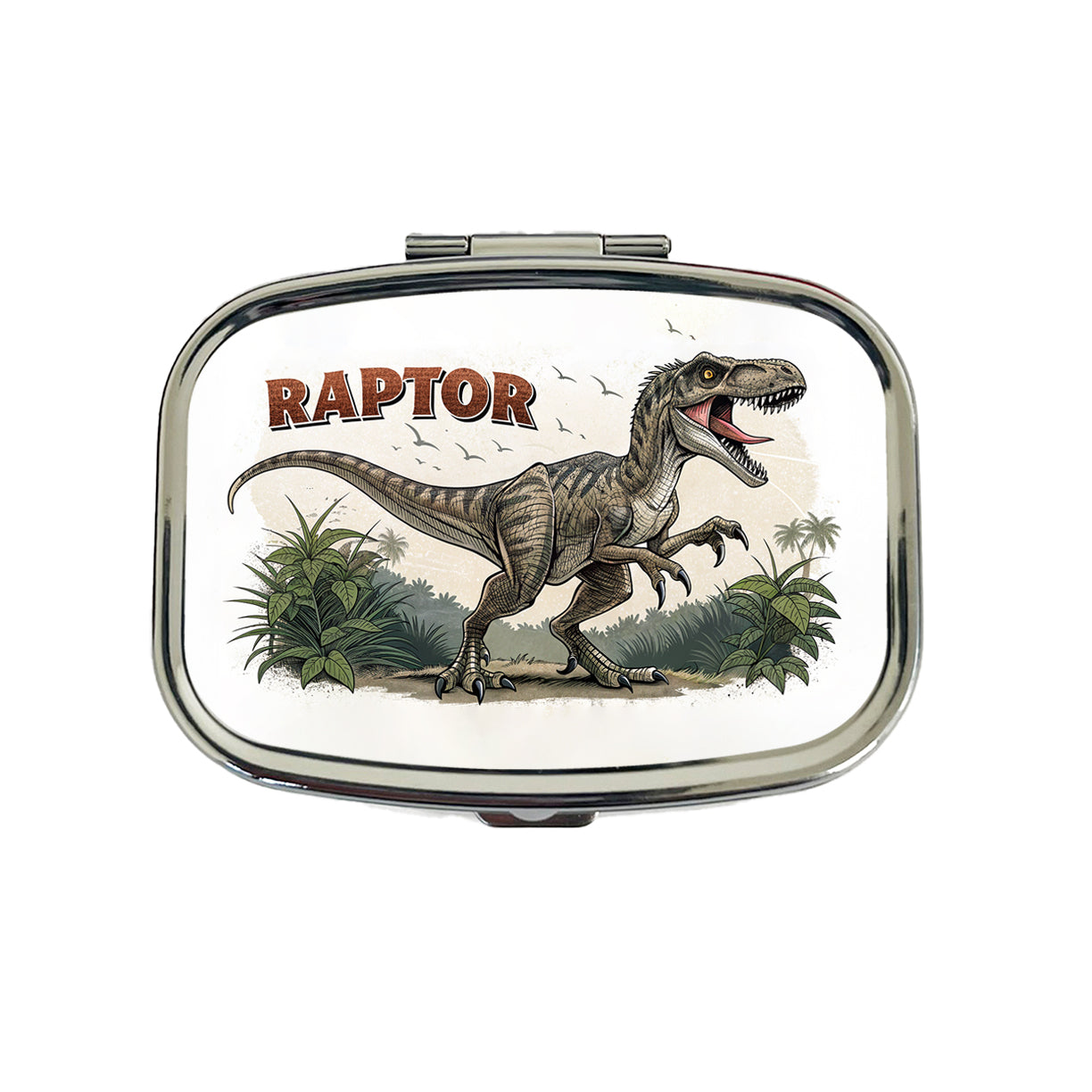 Raptor Dinosaur Cartoon Travel Pill Box Case