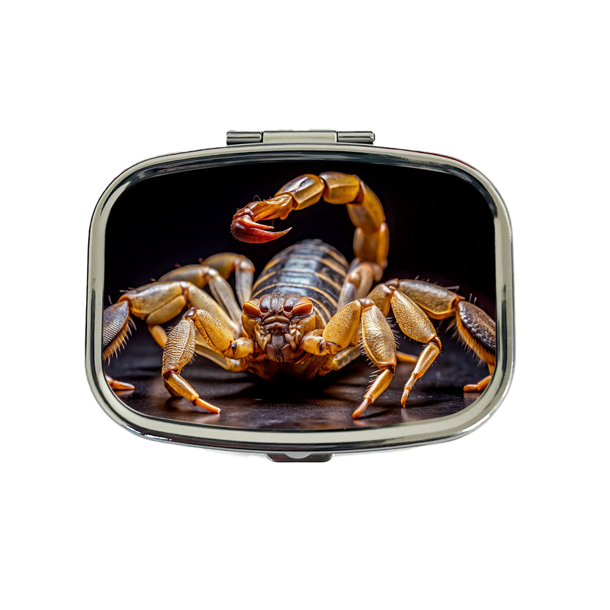 Angry Scorpion Black Background Travel Pill Box Case