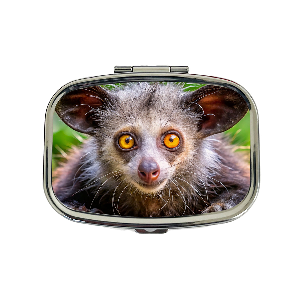 Aye Aye Long Fingered Lemur Travel Pill Box Case