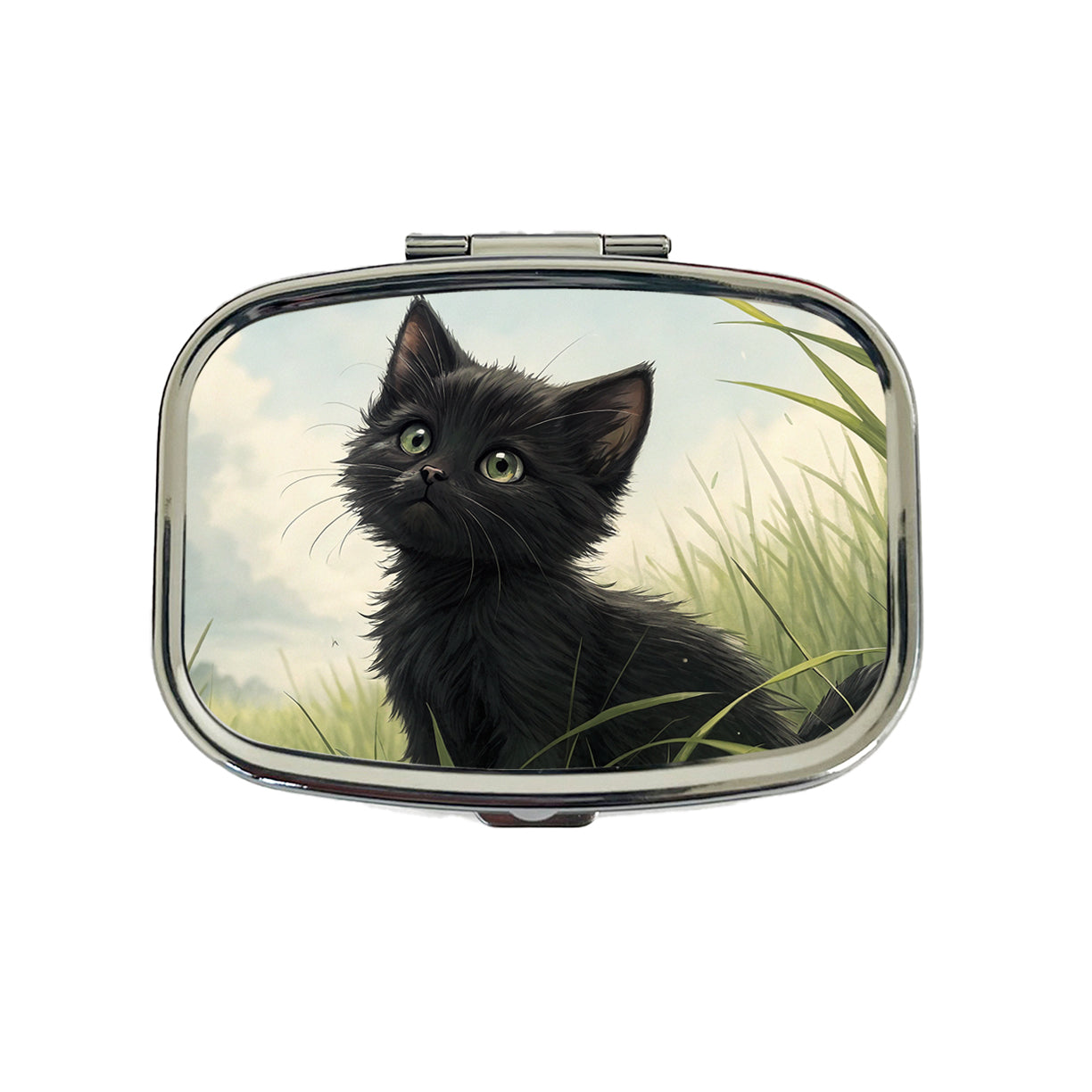 Black Kitten Cat in Field Travel Pill Box Case