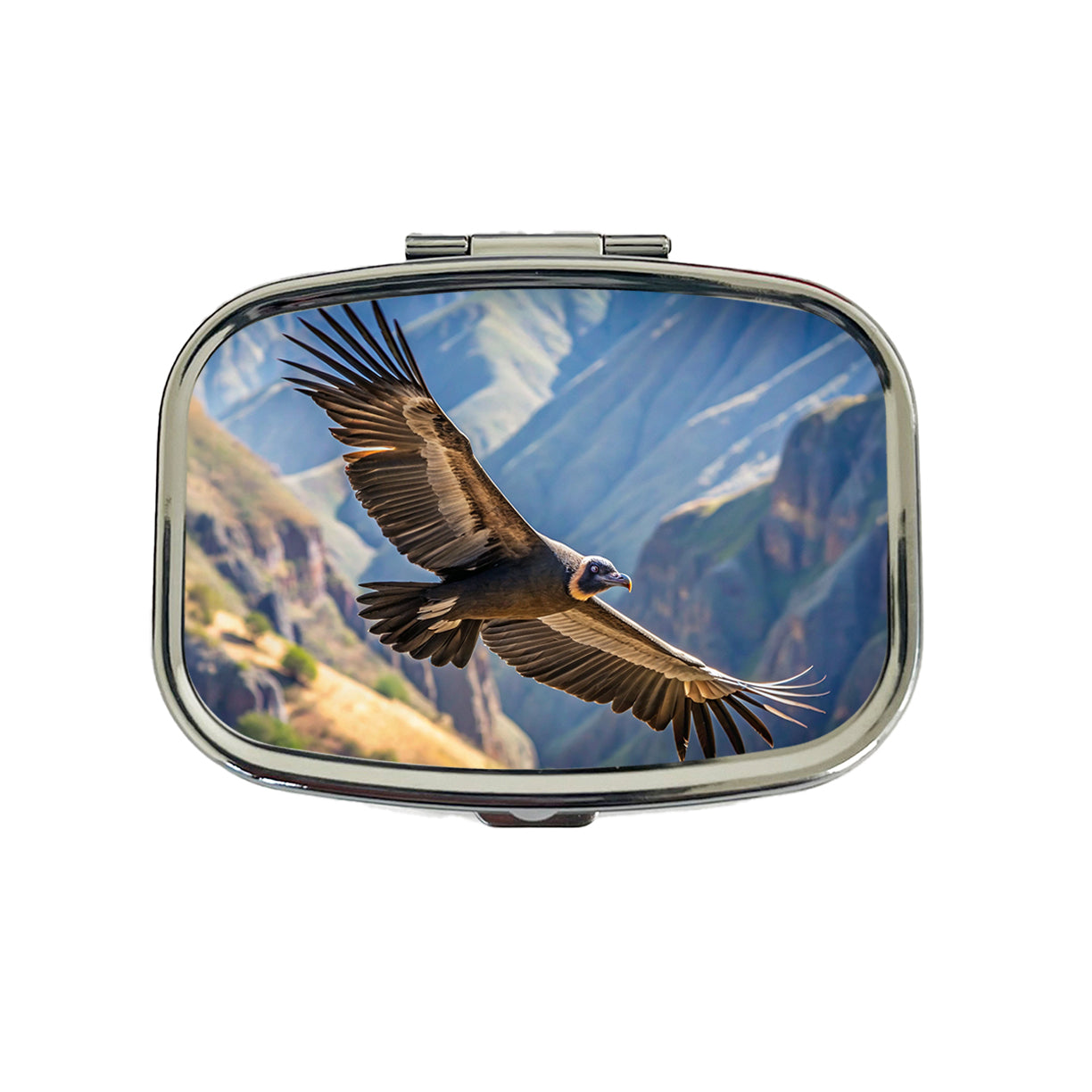 Condor In Flight Photo Travel Pill Box Case
