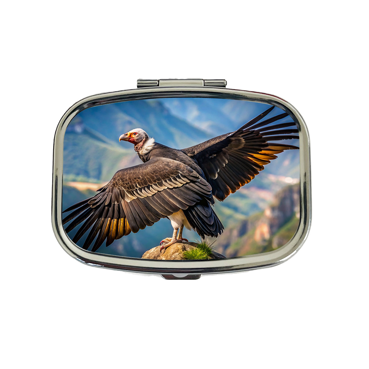 Condor on Mountain Top Travel Pill Box Case