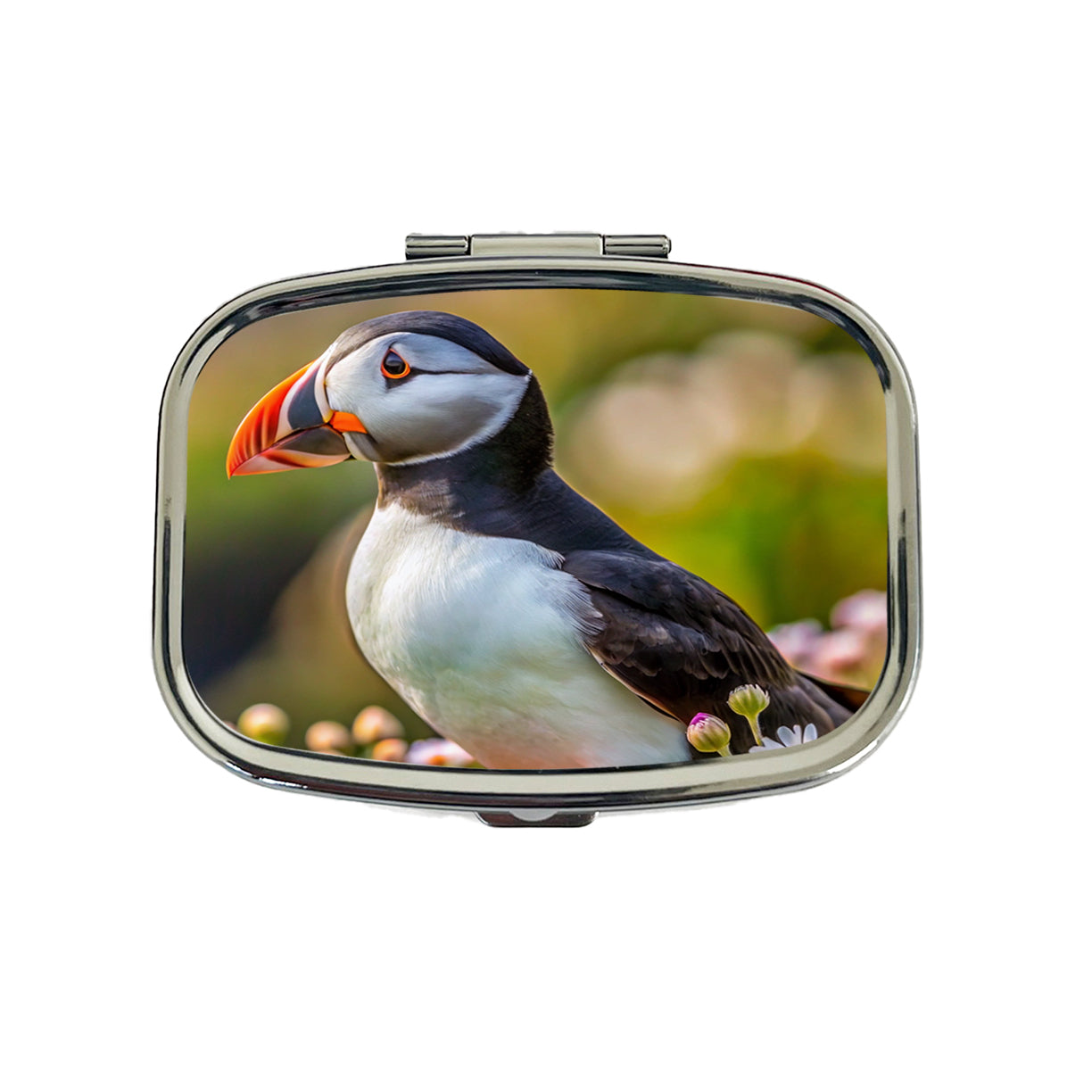 Puffin Bird Photograph Travel Pill Box Case