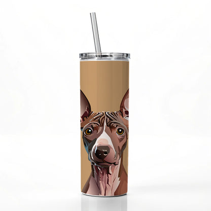American Hairless Terrier Staring Skinny Tumbler 20oz with Straw Insulated Water Bottle Gift