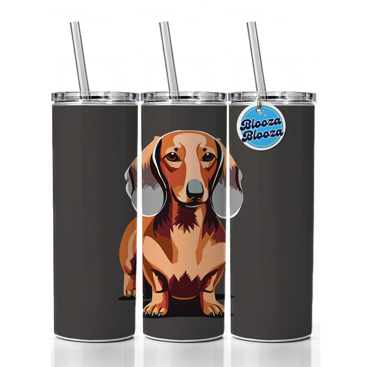 Dachshund Dog Standing Skinny Tumbler 20oz with Straw Insulated Water Bottle Gift