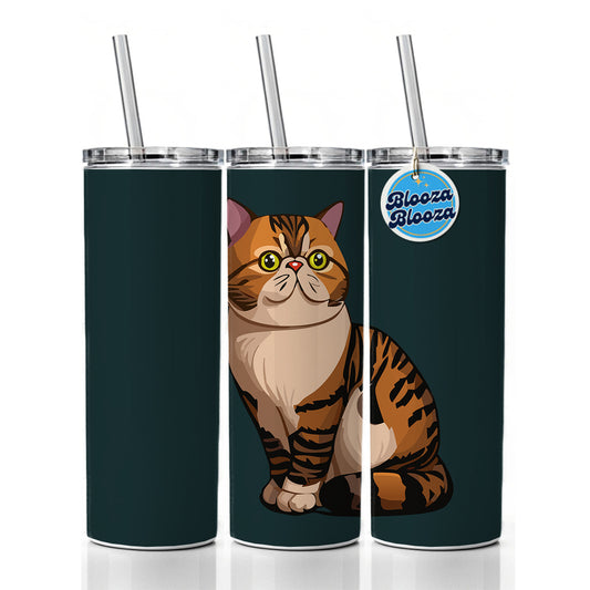 Exotic Shorthair Cat Sitting Skinny Tumbler 20oz with Straw Insulated Water Bottle Gift
