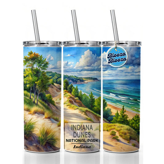 Indiana Dunes National Park Watercolor Skinny Tumbler 20oz with Straw Insulated Water Bottle Gift