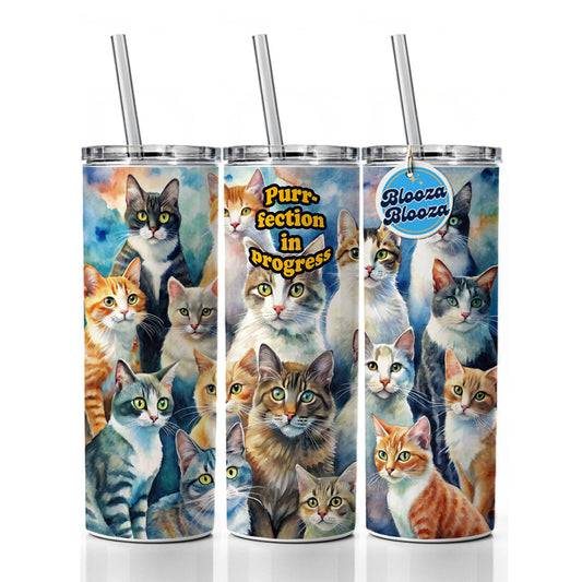 Purrfection Perfection In Progress Cats Lover Funny Skinny Tumbler 20oz with Straw Insulated Water Bottle Gift