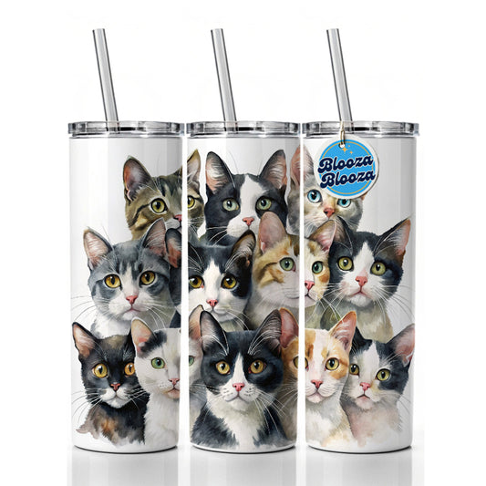 Bunch Of Sweet Cats Skinny Tumbler 20oz with Straw Insulated Water Bottle Gift