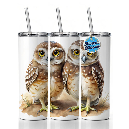Pair Of Burrowing Owls Bird Watercolor Skinny Tumbler 20oz with Straw Insulated Water Bottle Gift