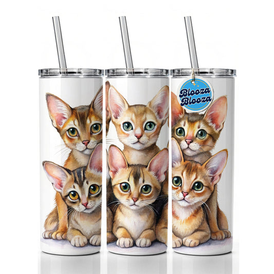 Sweet Abyssinian Cats Skinny Tumbler 20oz with Straw Insulated Water Bottle Gift