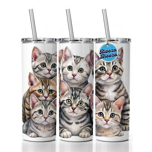 Sweet American Shorthair Cats Skinny Tumbler 20oz with Straw Insulated Water Bottle Gift