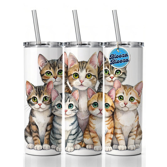 Sweet American Wirehair Cats Skinny Tumbler 20oz with Straw Insulated Water Bottle Gift