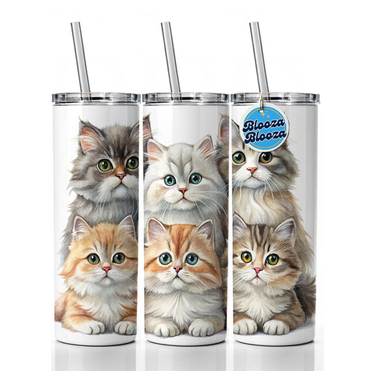 Sweet British Longhair Cats Skinny Tumbler 20oz with Straw Insulated Water Bottle Gift