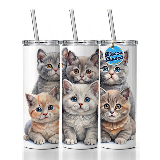 Sweet British Shorthair Cats Skinny Tumbler 20oz with Straw Insulated Water Bottle Gift