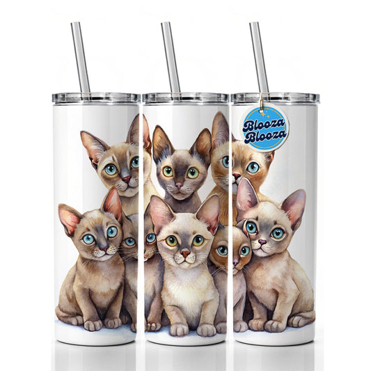 Sweet Burmese Cats Skinny Tumbler 20oz with Straw Insulated Water Bottle Gift