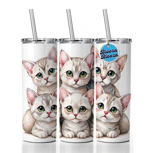Sweet Burmilla Cats Skinny Tumbler 20oz with Straw Insulated Water Bottle Gift