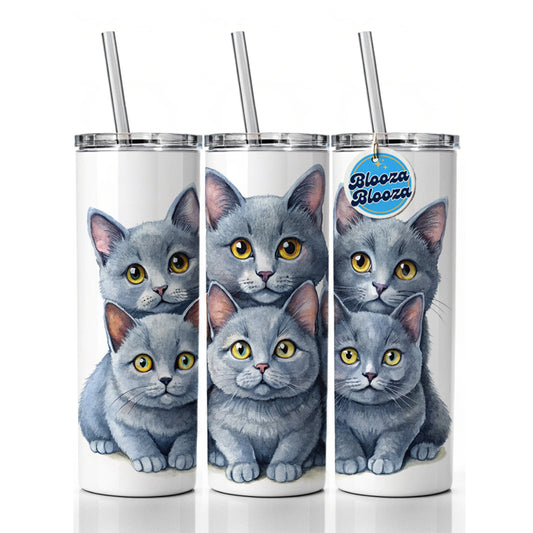 Sweet Chartreux Cats Skinny Tumbler 20oz with Straw Insulated Water Bottle Gift
