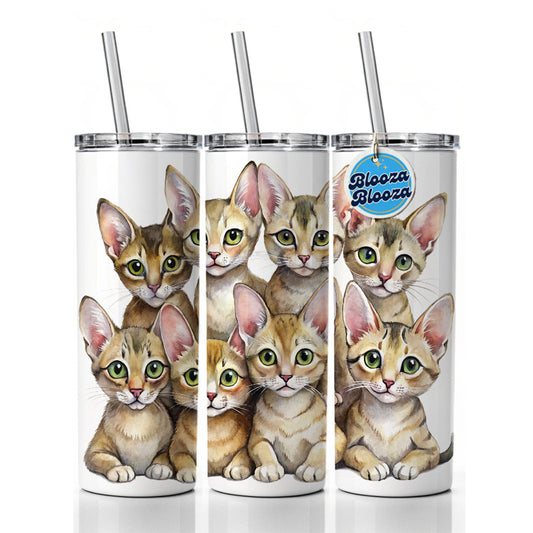 Sweet Chausie Cats Skinny Tumbler 20oz with Straw Insulated Water Bottle Gift