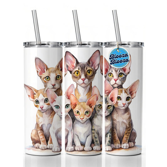 Sweet Cornish Rex Cats Skinny Tumbler 20oz with Straw Insulated Water Bottle Gift