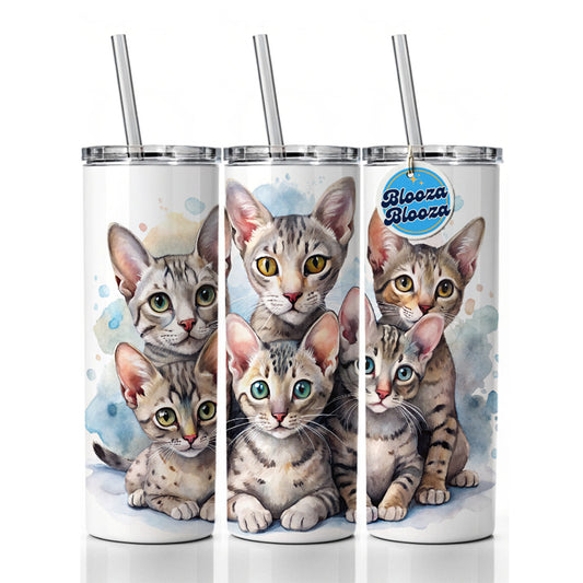 Sweet Egyptian Mau Cats Skinny Tumbler 20oz with Straw Insulated Water Bottle Gift