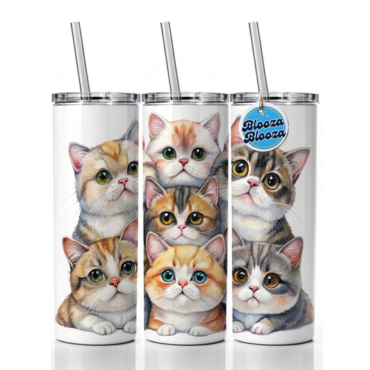 Sweet Exotic Shorthair Cats Skinny Tumbler 20oz with Straw Insulated Water Bottle Gift