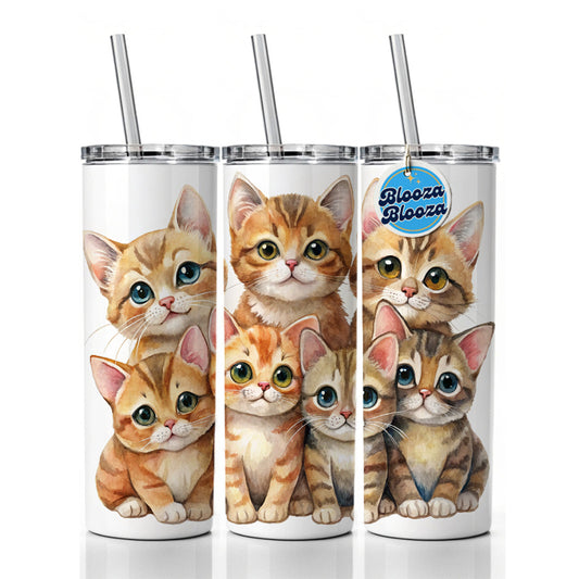 Sweet Havana Brown Cats Skinny Tumbler 20oz with Straw Insulated Water Bottle Gift