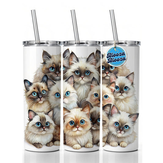 Sweet Himalayan Cats Skinny Tumbler 20oz with Straw Insulated Water Bottle Gift