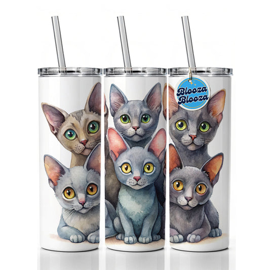 Sweet Korat Cats Skinny Tumbler 20oz with Straw Insulated Water Bottle Gift