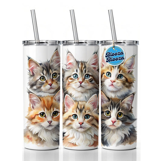 Sweet Maine Coon Cats Skinny Tumbler 20oz with Straw Insulated Water Bottle Gift